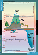 Структура биосферы и её границы. 