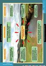 Классификация экологических факторов. 